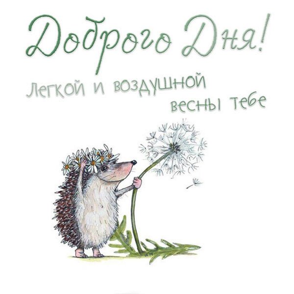 ежик иллюстрация