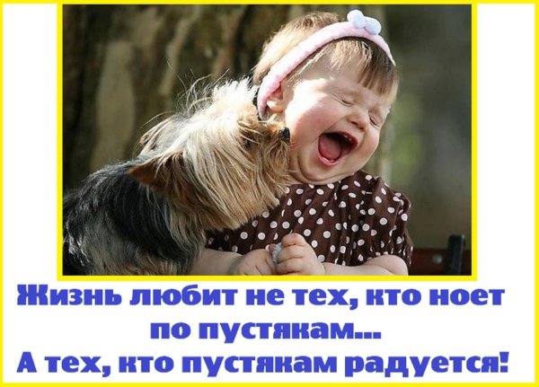 добро прикол