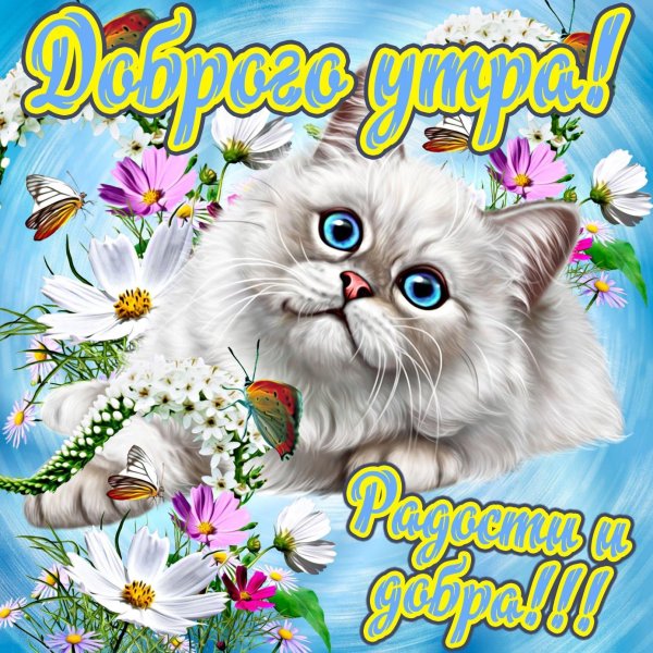 с доброе утро открытки