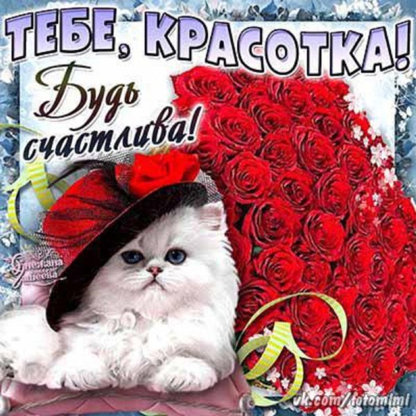 тебе красотка