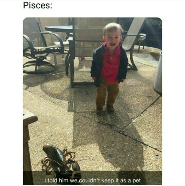 морские раки