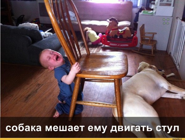 собака с ребенком