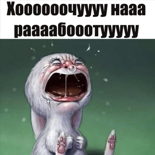 грустный заяц