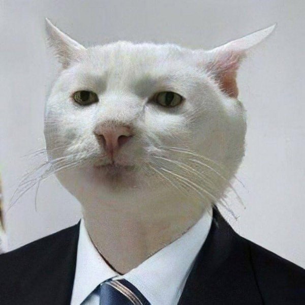 Я плачу