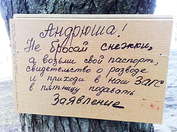 юмор шутки
