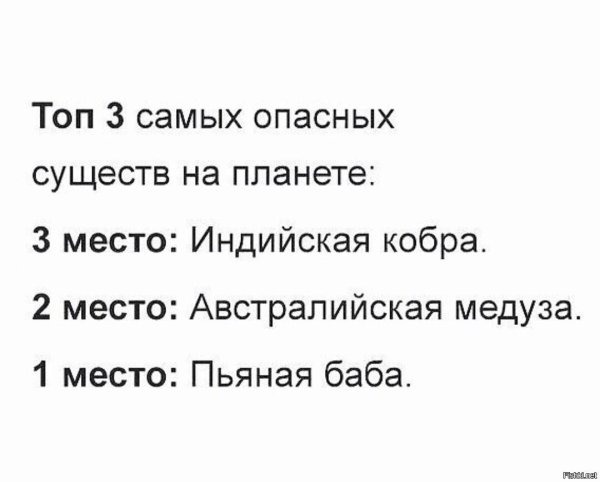 австралийская медуза