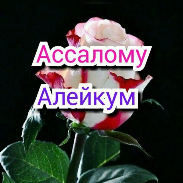 ассалам алейкум