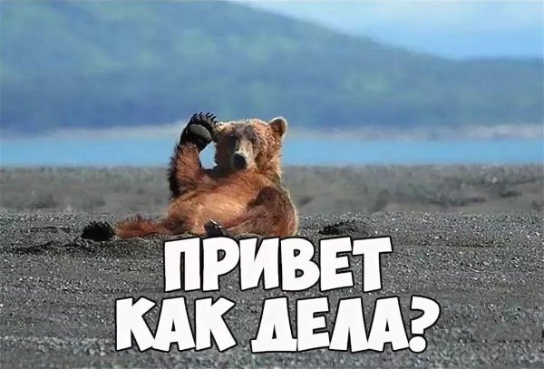 прикольное приветствие