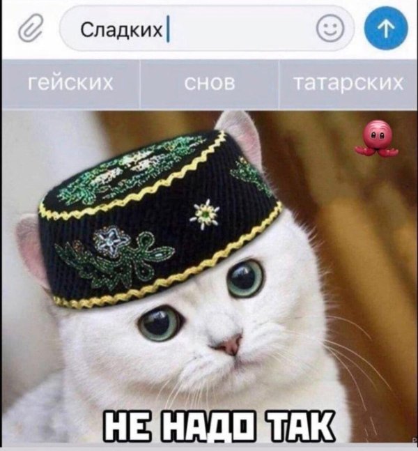 татарская кошка