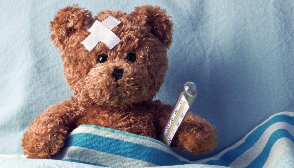 плюшевая мишка