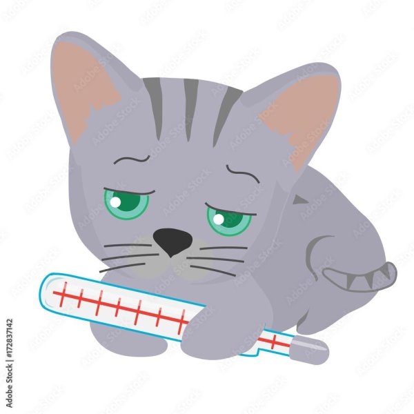 болеющий кот