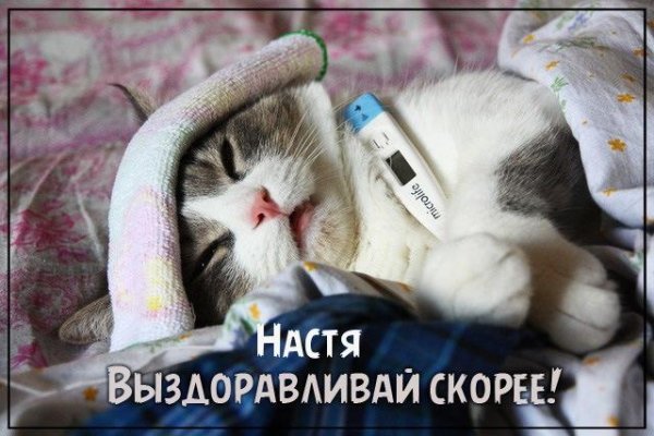 выздоравливай открытка