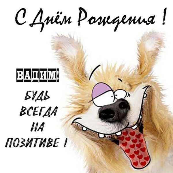 поздравление с днём рождения андрея прикольные смешные