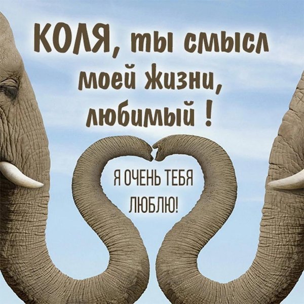 мой любимый