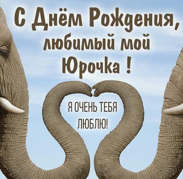 со слоном