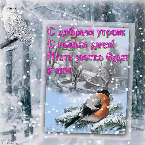 открытки с добрым зимним утром красивые пожеланиями