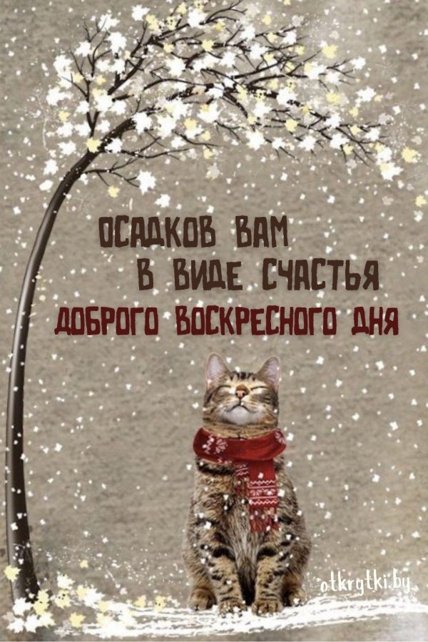 открытка доброго утра зимняя