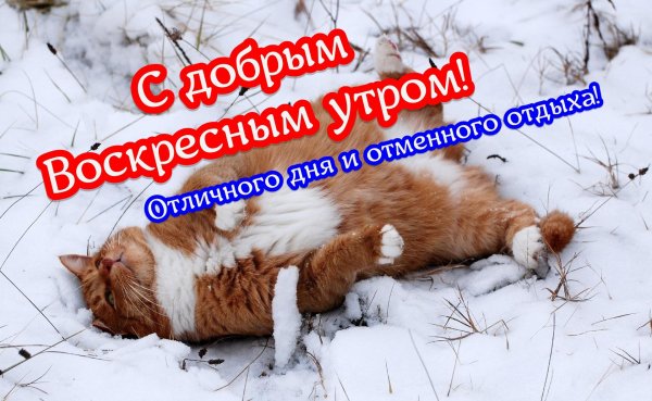 воскресенье утро