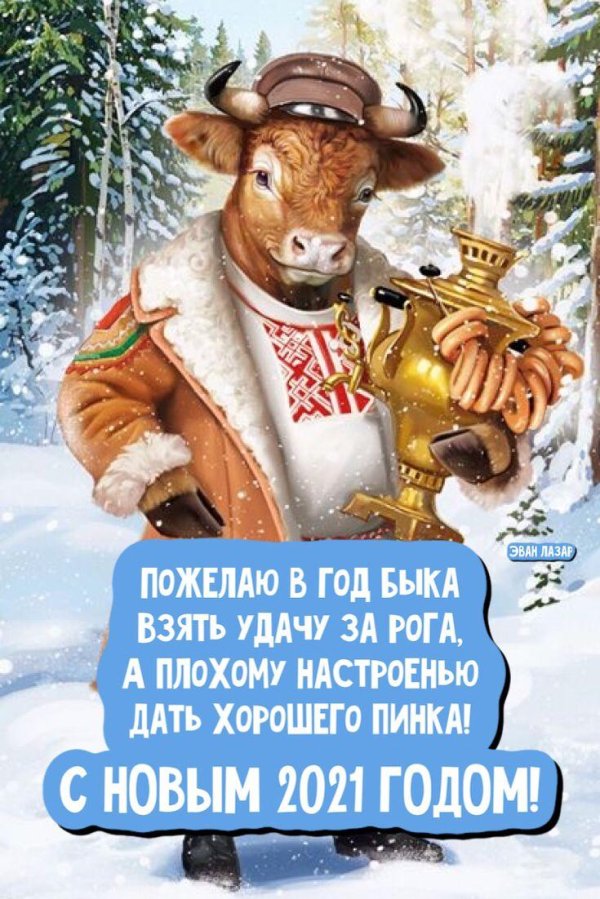 год быка