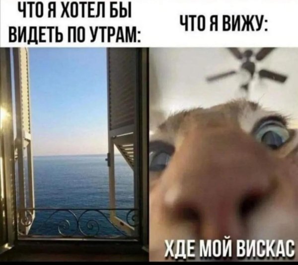 завтра утром