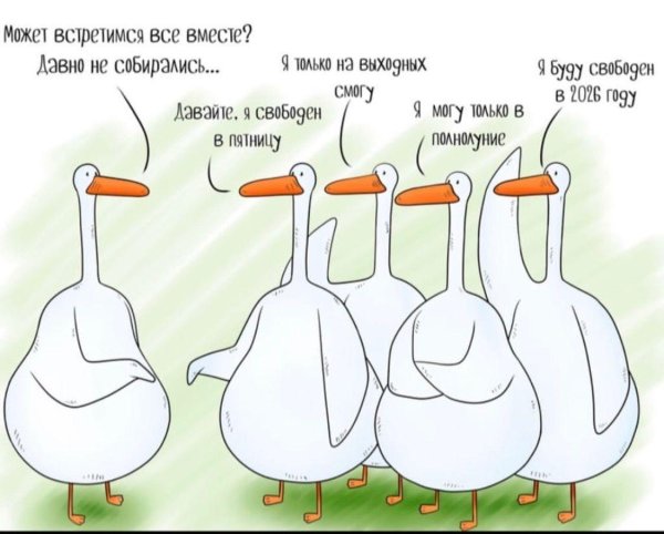 гусь прикольный