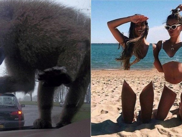 показалось прикол