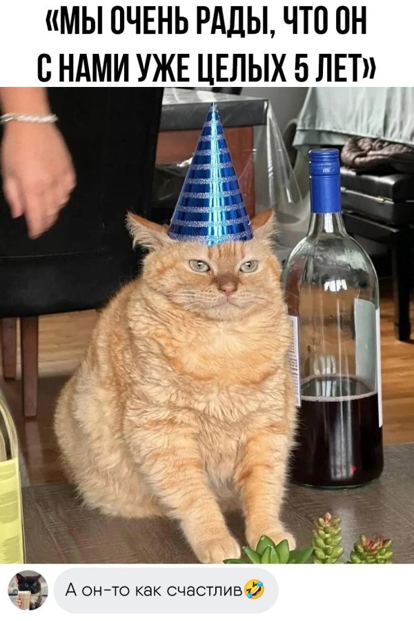 самые смешные мемы