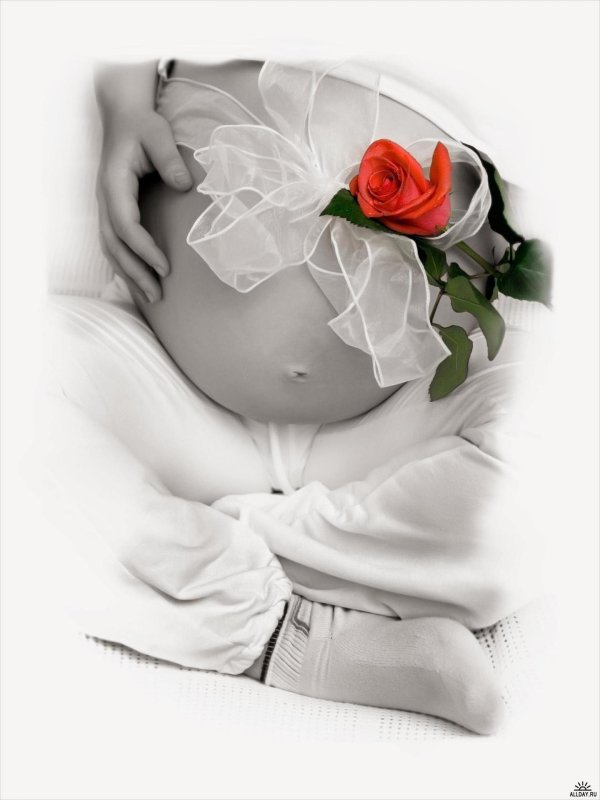 открытка беременной
