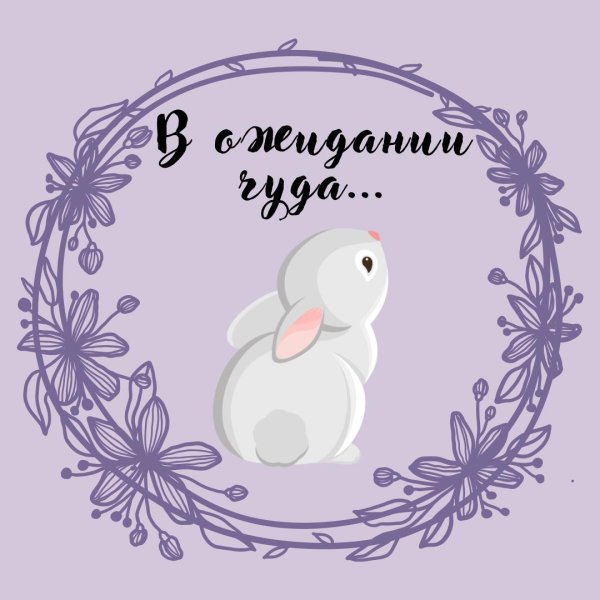 кролик белый