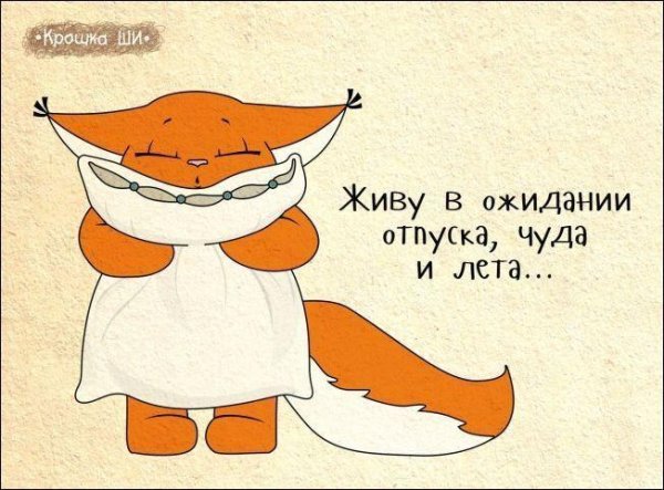 жду отпуска