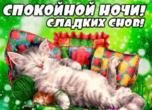доброй ночи сладких снов