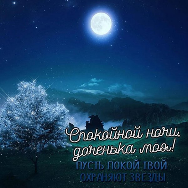 спокойная ночи