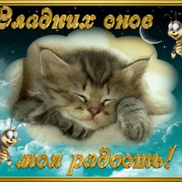 открытка сладких снов