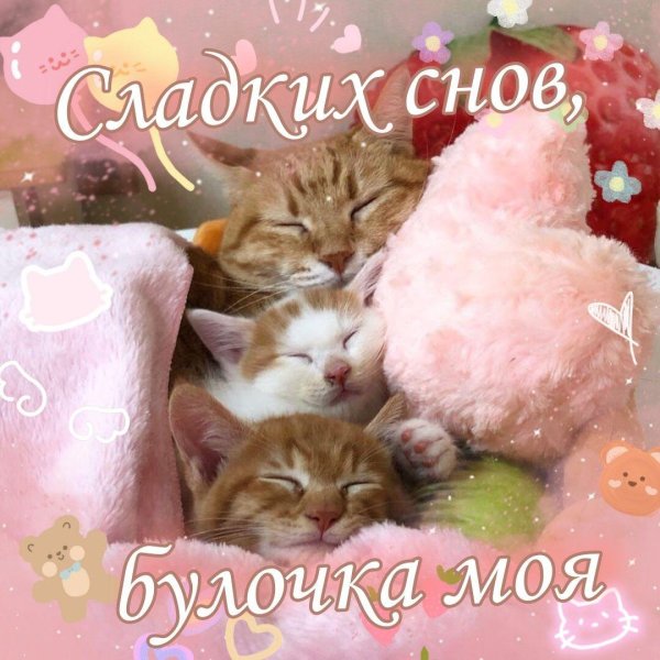 сладкие сны