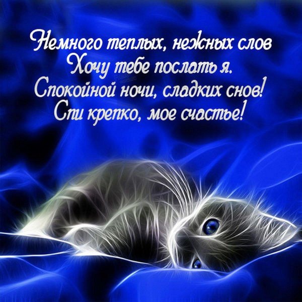 спокойная ночи