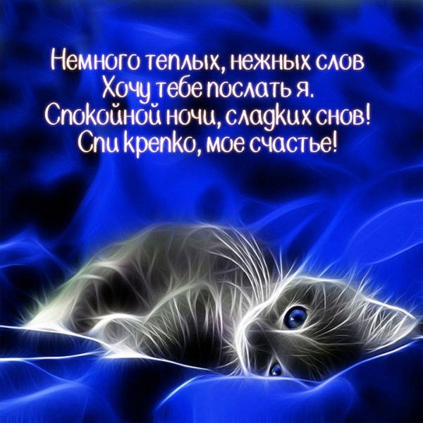спокойной ночи киска