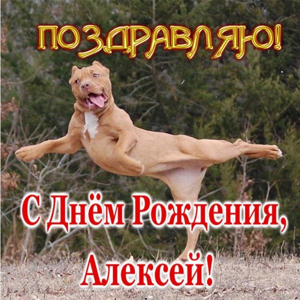 С днюхой леха