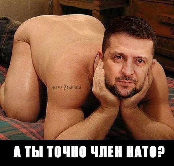 украина нато