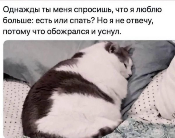 однажды ты спросишь что я люблю больше есть или спать