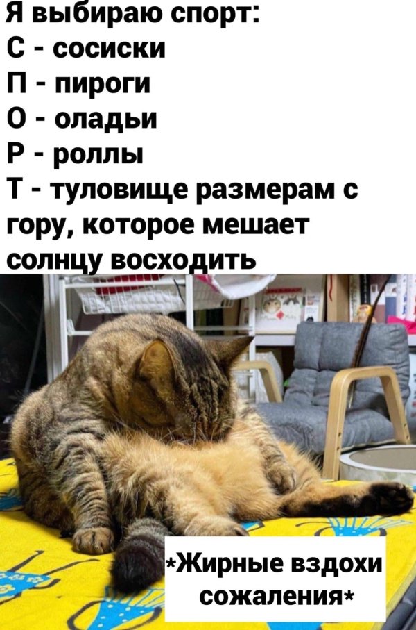 приколы до слез