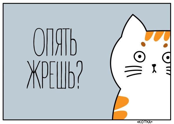 опять жрешь