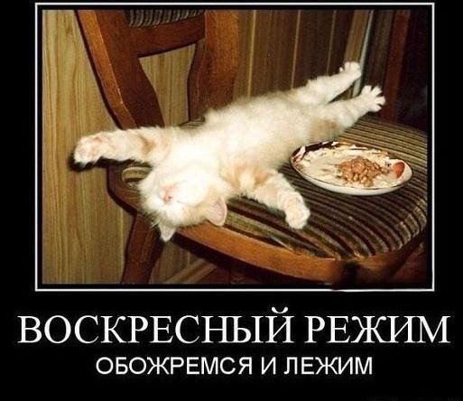 воскресный режим обожремся и лежим