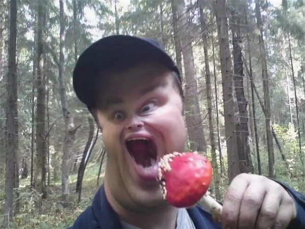 ем грибы