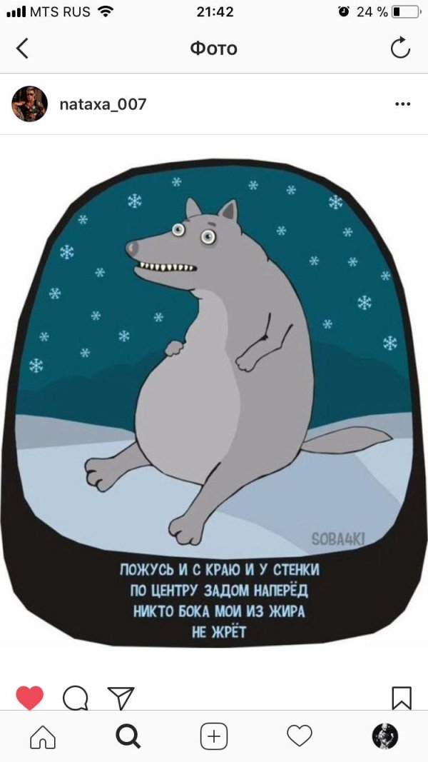 soba4ki волчок