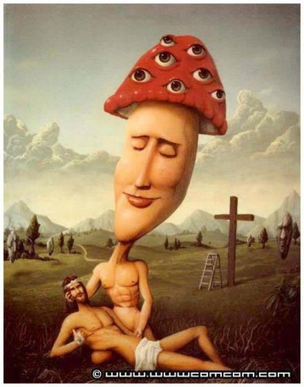 Мухоморы