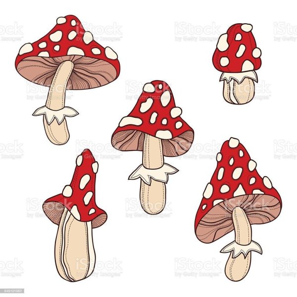 мухоморы мультяшные