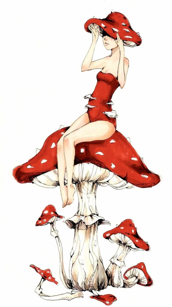 аманита мускария