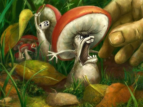 веселые грибы