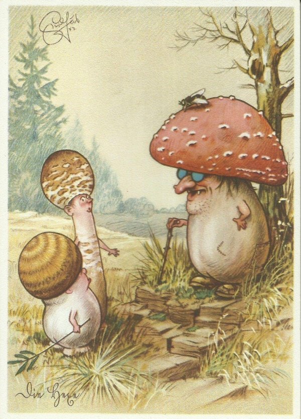 гриб иллюстрация