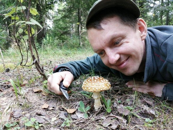 епифанцев владимир грибы